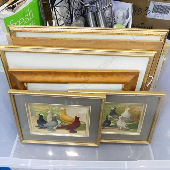 BOX VINTAGE ART WORKS: hand coloured birds + moths + train photos etc