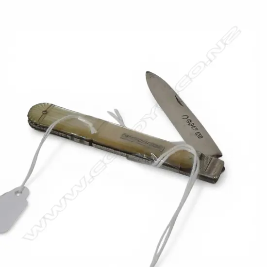 GEO 1836 S/SILVER & MOP FRUIT KNIFE 