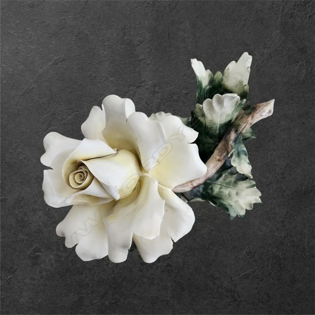 CAPODIMONTE ROSE Image 1++