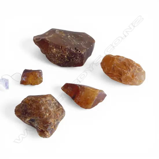 5 PCES KAURI GUM W.155mm