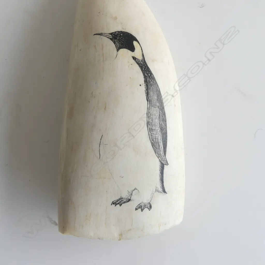 WHALES TOOTH w. PENGUIN IMAGE H.160mm SIGNED... Image 1++