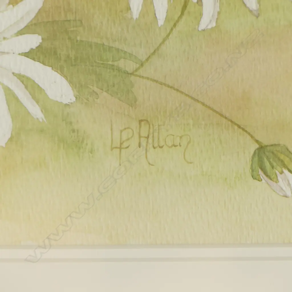 FRAMED & SIGNED WATERCOLOR, WHITE DAISIES, 230 x 300mm Image 1++
