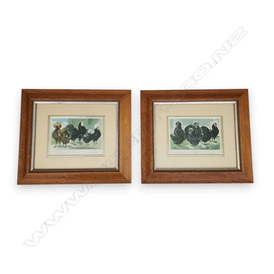 TWO ROOSTER & CHICKEN PRINTS