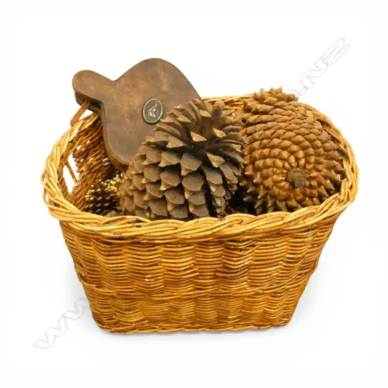CANE BASKET w. LARGE PINECONES & BELLOWS