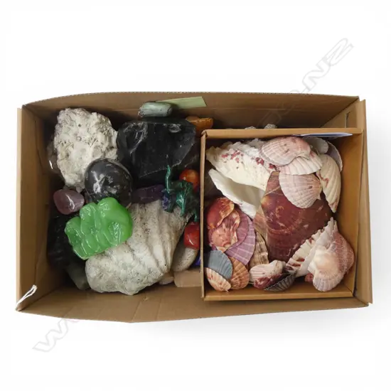 ASST. GEODES & SEA SHELLS