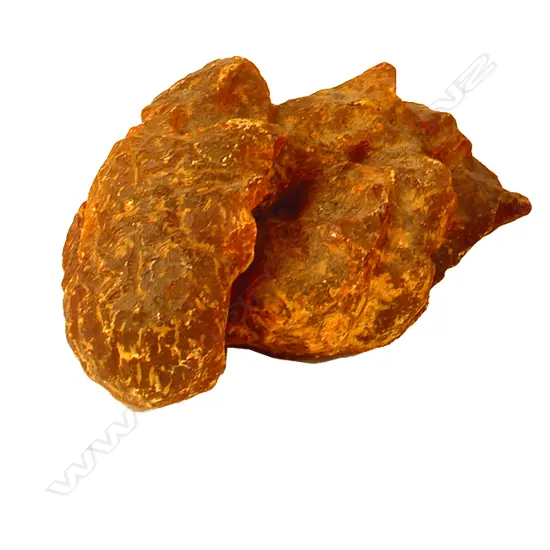 A large kauri gum boulder