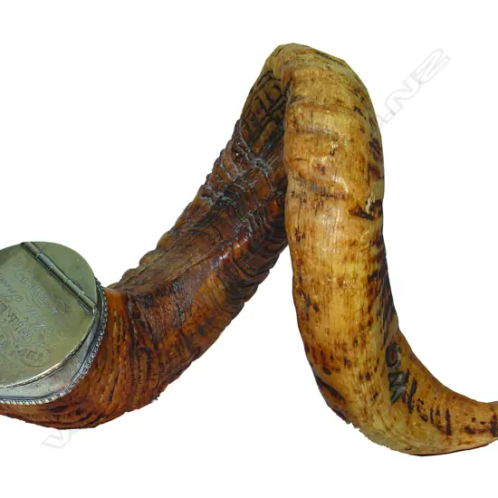 A Victorian Scottish silver plate and ram's horn table snuff mull