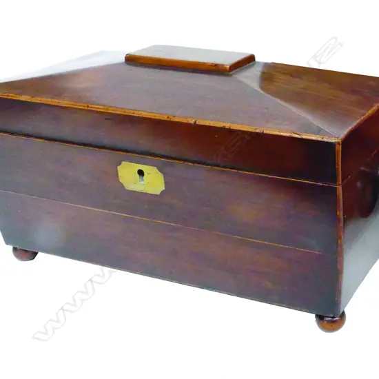 A Regency mahogany sarcophagus work box