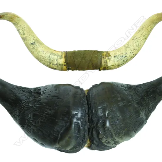 A pair of 19thC Scottish engraved and mounted bullock horns