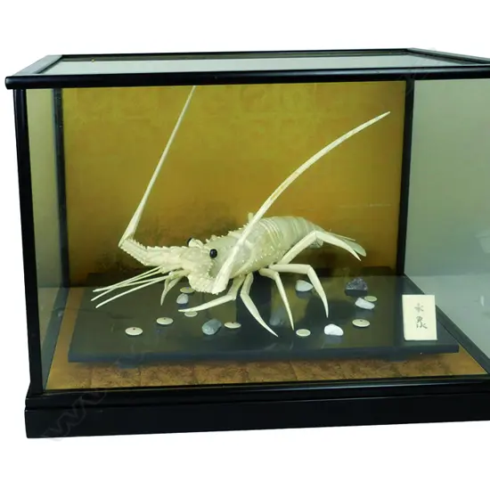 A  Japanese bone crayfish with carved detail