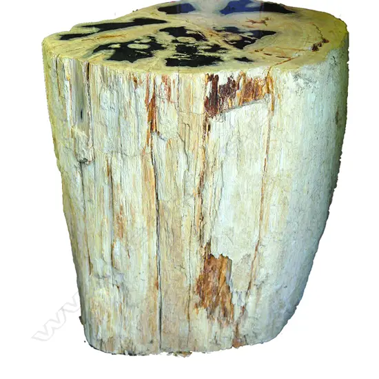 A heavy petrified wood side table