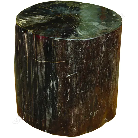 A heavy petrified wood side table