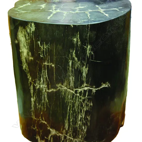 A heavy petrified wood side table