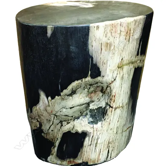 A heavy petrified wood side table