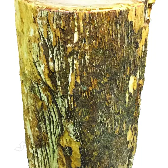 A petrified wood side table/stool