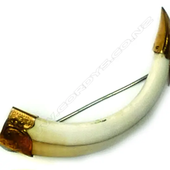 An Edwardian 9ct. yellow gold mounted boar's tusk brooch