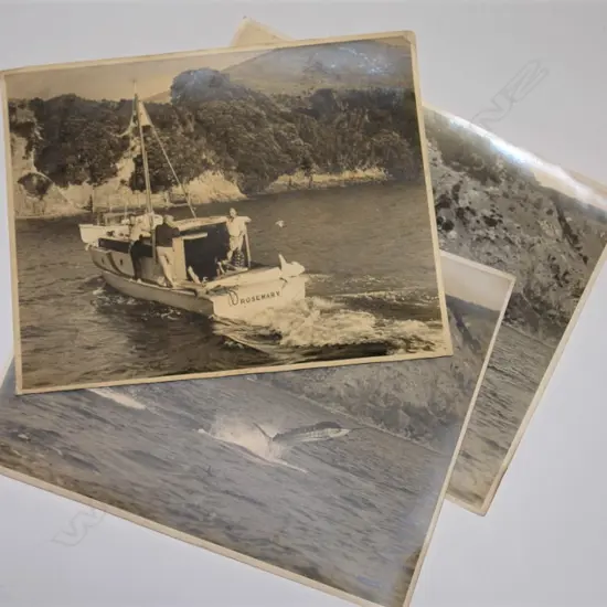 Four c.1960 vintage black and white photos taken by Tudor Collins Studio