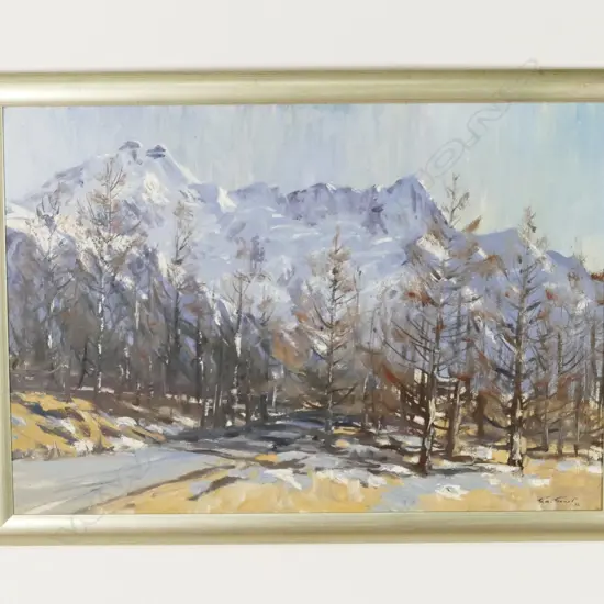 G.A. Genet 'Mt Sefton'