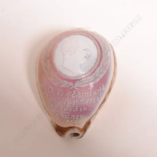 A 19thC Royalty interest cowrie shell