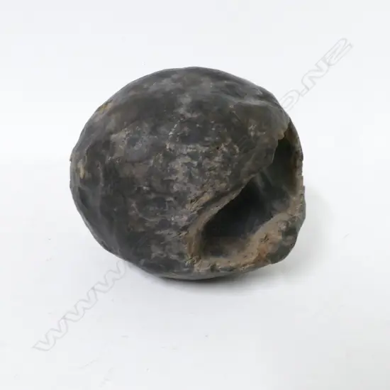 A fossilised dinosaur egg