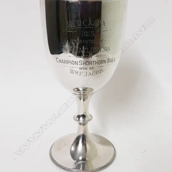 An Edwardian silver trophy cup