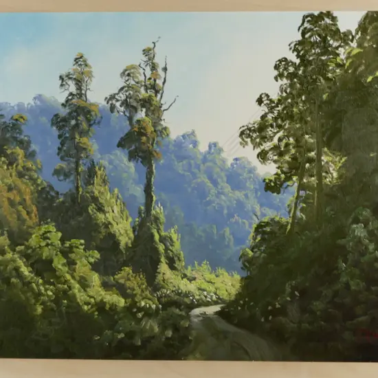 Jonathan R. White 'Opaheru Valley - Urewera'